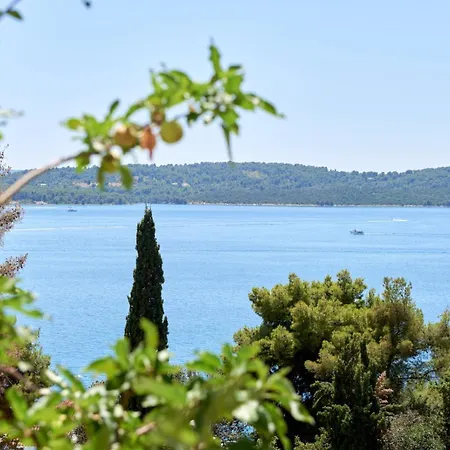 Apartment Viktoria Trogir Exterior photo